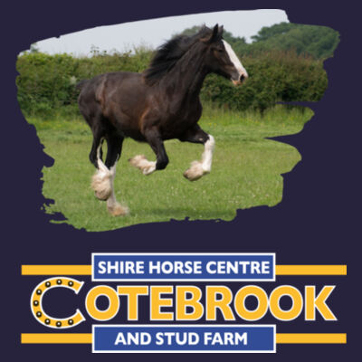 Cotebrook Shire Horse anna - kids College Hoodie Design