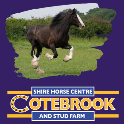 COTEBROOK SHIRE HORSE ANNA - Softstyle® adult ringspun t-shirt Design
